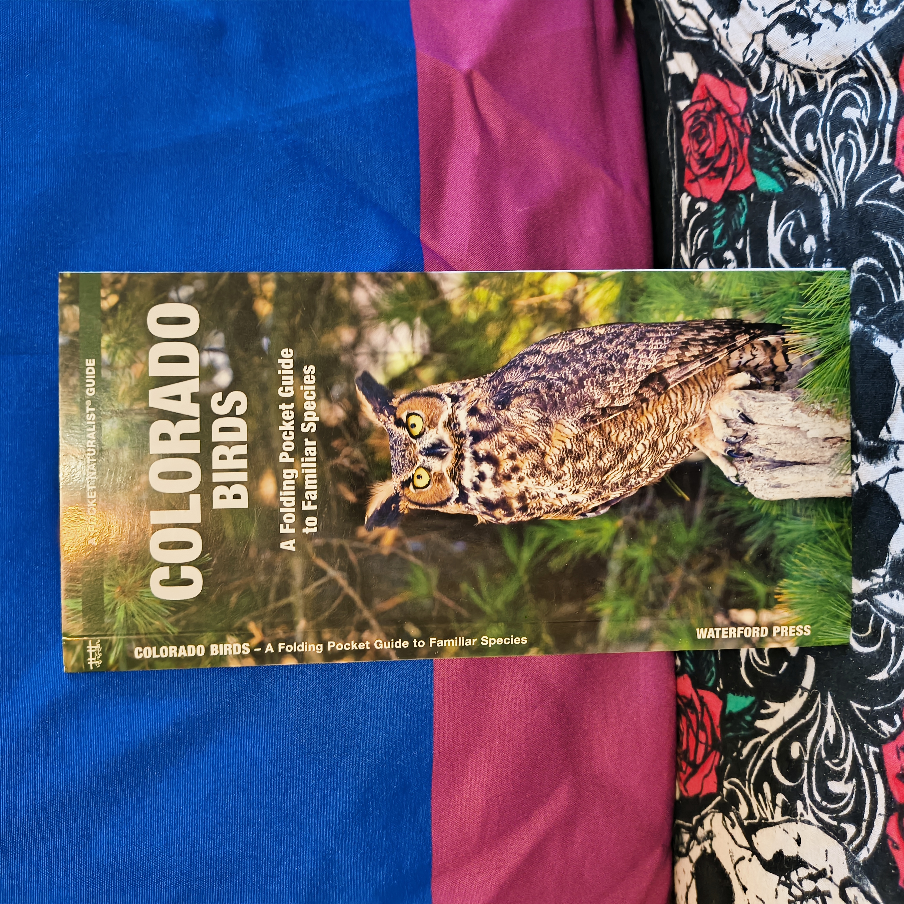 Colorado Birds Pocket Guide